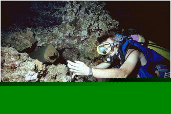 AquaAmy